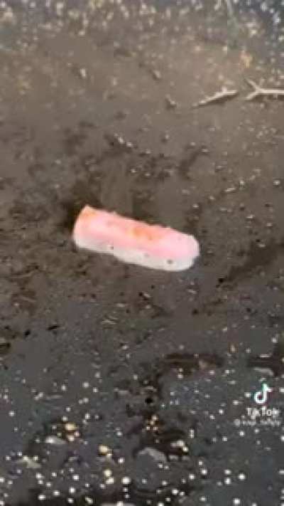 Maybe maybe maybe