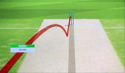 BBL Umpires be like