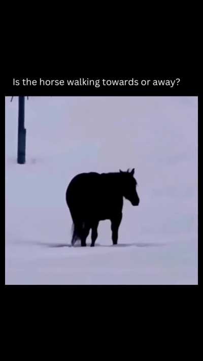 Is this horse coming towards or going away