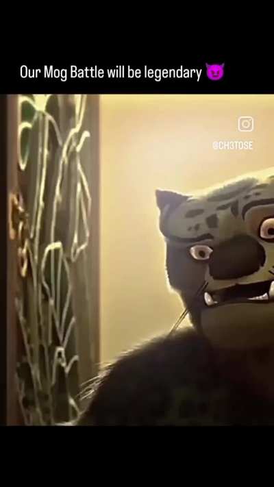 Kung Fu Rizz