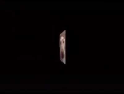 xd