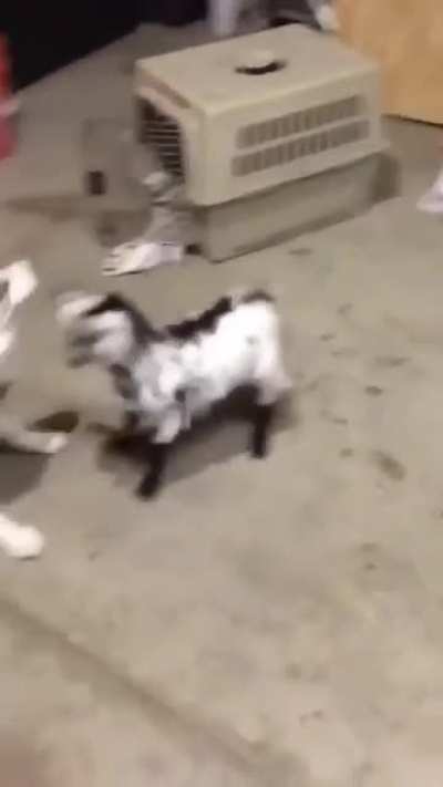 Ok