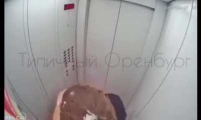 Сказочный долбоеб