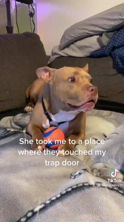 He&rsquo;s traumatized