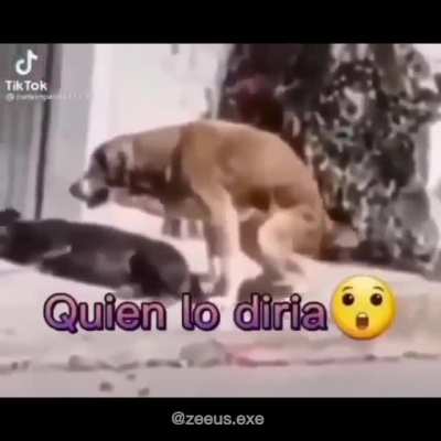 Simplemente