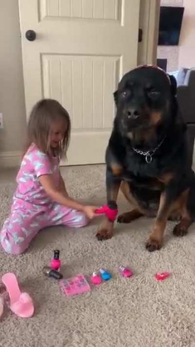 I don&rsquo;t know what the hell that noise was