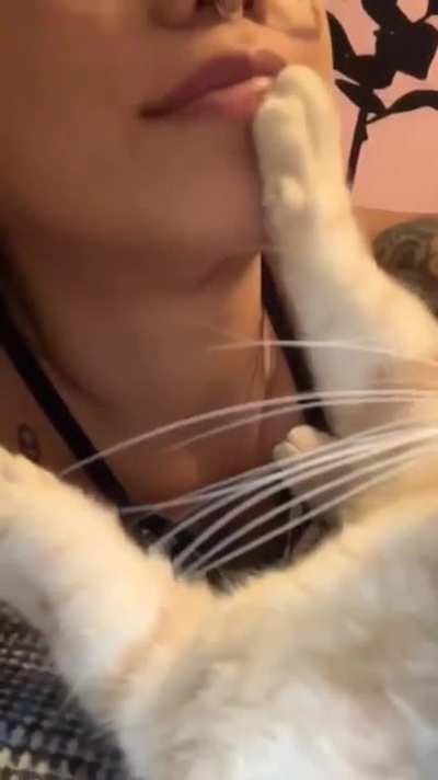 Meowch!