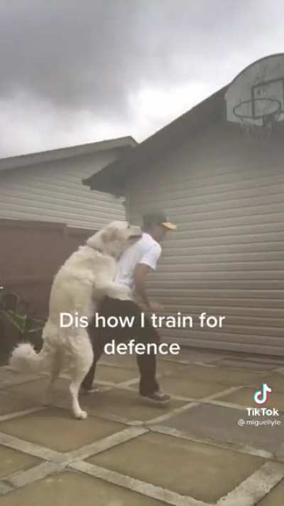Great defense