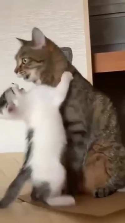 There Are Boundaries To Love