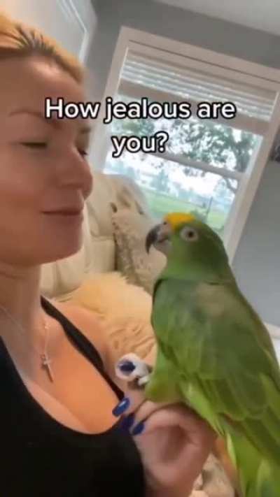 Paw