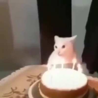 Nunca odiei meu pa&iacute;s