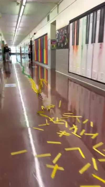 Saw a stick bomb and wanted to share my own. This was 1500 sticks and set up down the hallway of the school I teach at.