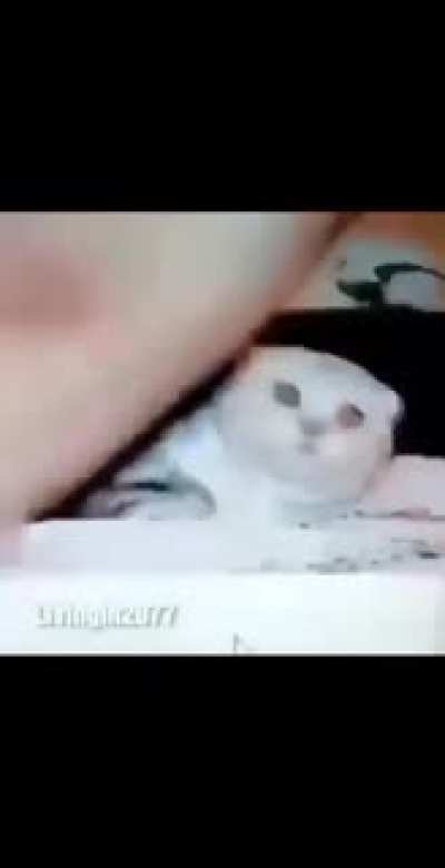 Şu videonun orjinali var mı aq