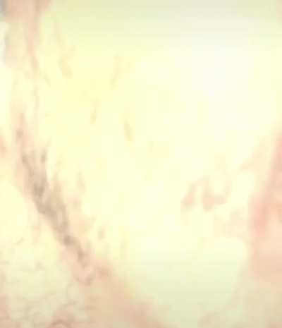 Thanks, I hate slow motion spider eating