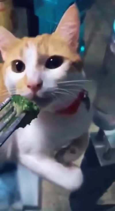Я и здоровое питание(звук)
