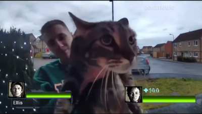 Rawr 