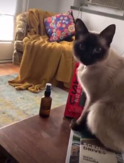 DON&rsquo;T DO IT (credit: wowkosik / TikTok)
