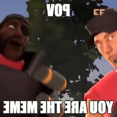 T&uacute; &eacute; o meme agr