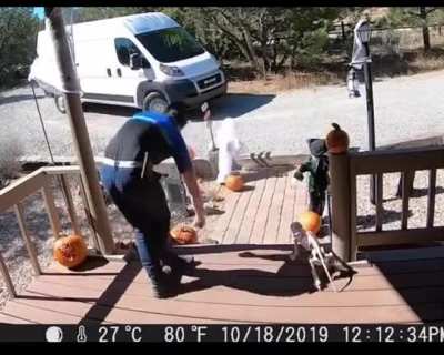 Delivery guy trips on pumpkin and absolutely loses his shit.