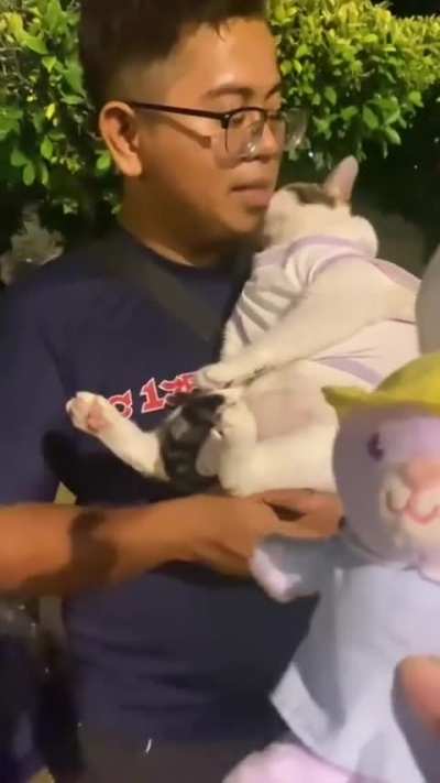 He will be thiefed