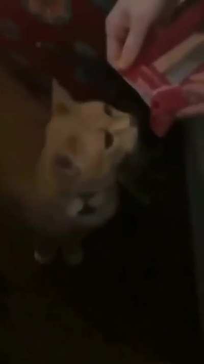 WHAT WAS THAT?! GIVE!!