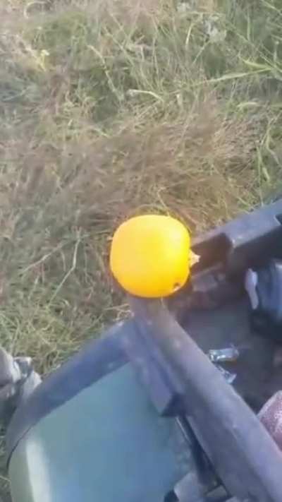 to punch the pumpkin
