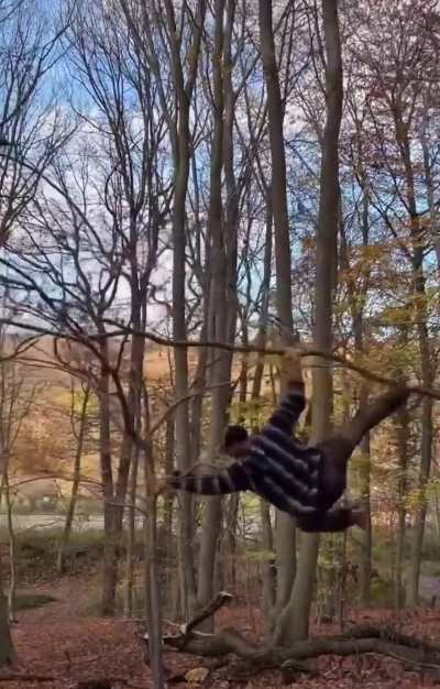 ThisLooksFun