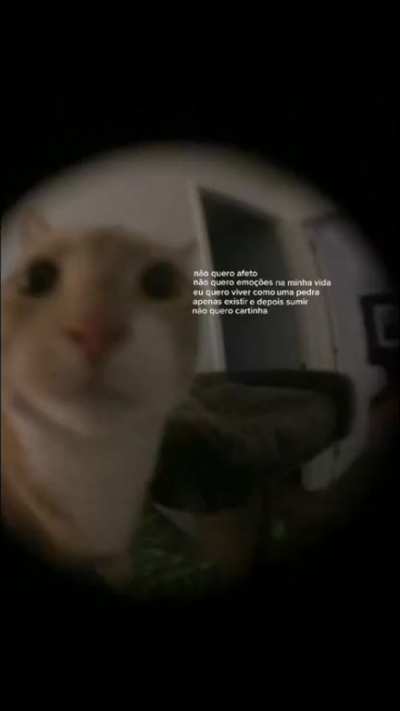 eu_nvr 