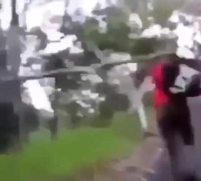 Trying to throw a log