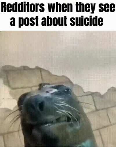 Wholesome