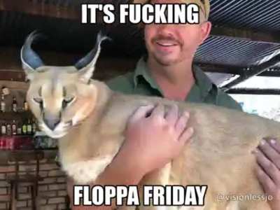 Floppa friday