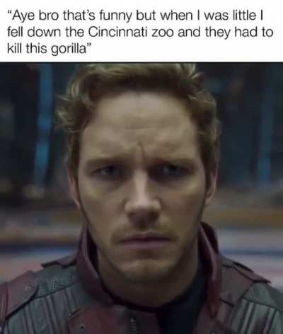 NOOOO HARAMBE