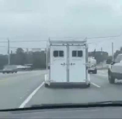 caution horses
