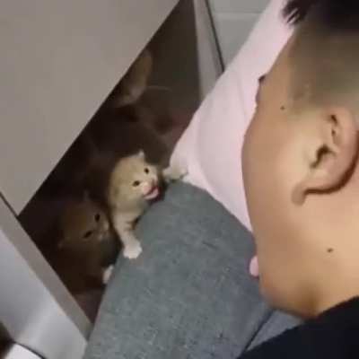 I&rsquo;m a fierce beast. Fear me, hooman.