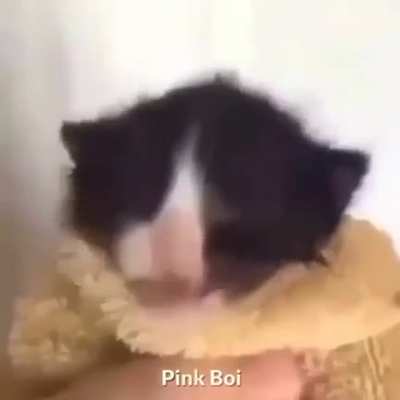 i cunt fucking take anymore