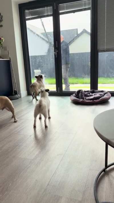 Dave trying to catch window cleaners brush…