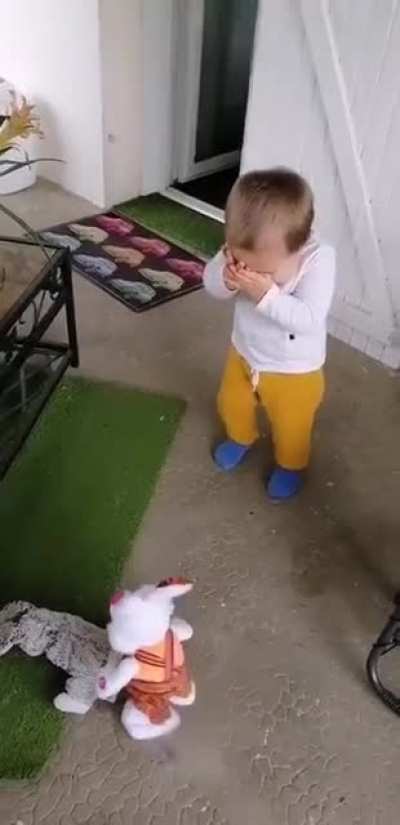 Kid's new rabbit toy meets his old rabbit toy...