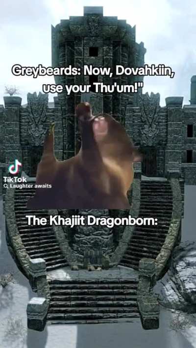 🐱