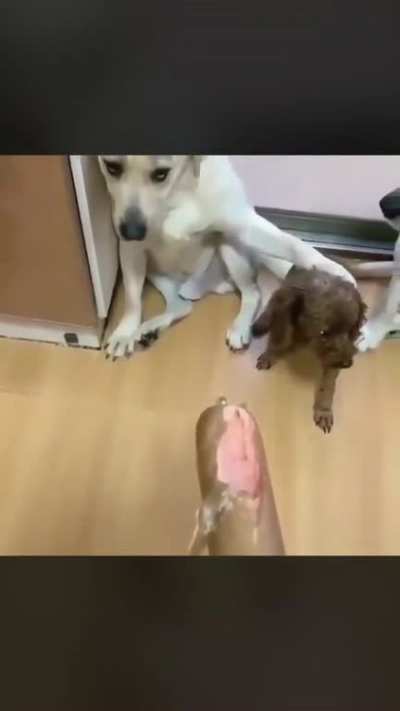 To keep a secret