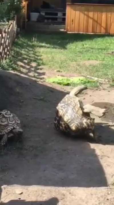 Bro, I got you!