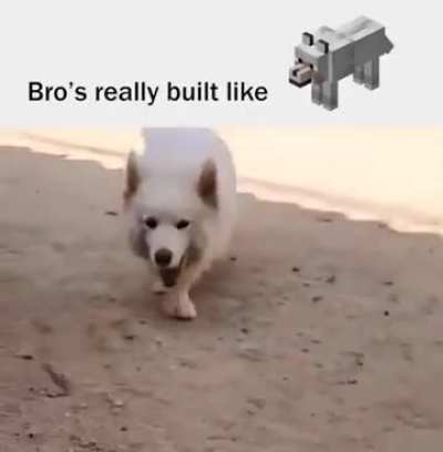 She&rsquo;s looking for a bone! 🦴