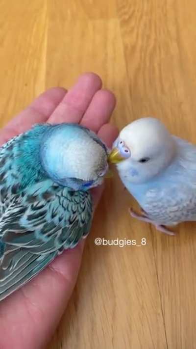 Let me help you with your makeup before we leave for the party