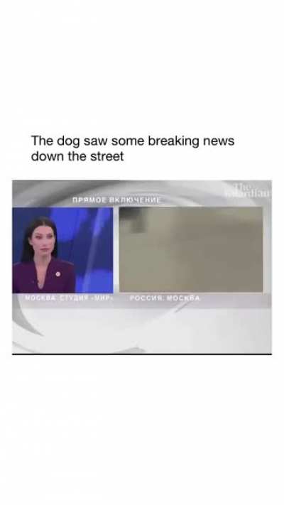 I’ll show you what real journalism is