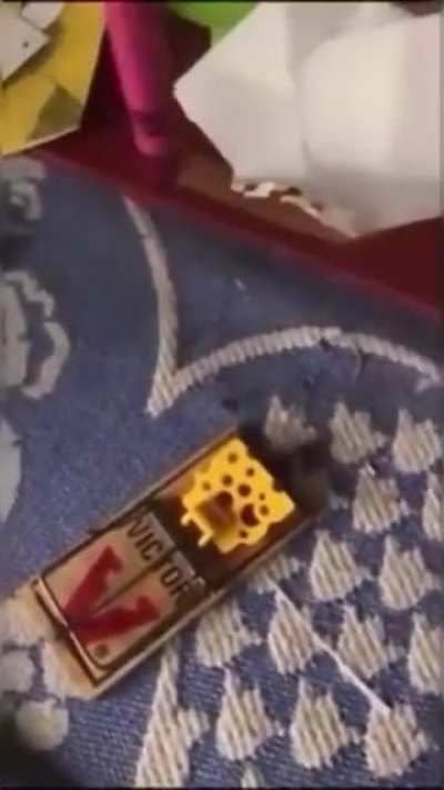 Testing this mousetrap