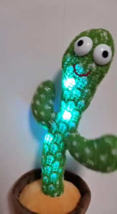 My friend has the Polish cow cactus toy
