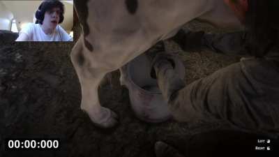 RDR2 Cow Milking Speedrun Any% WR | 2s 350ms