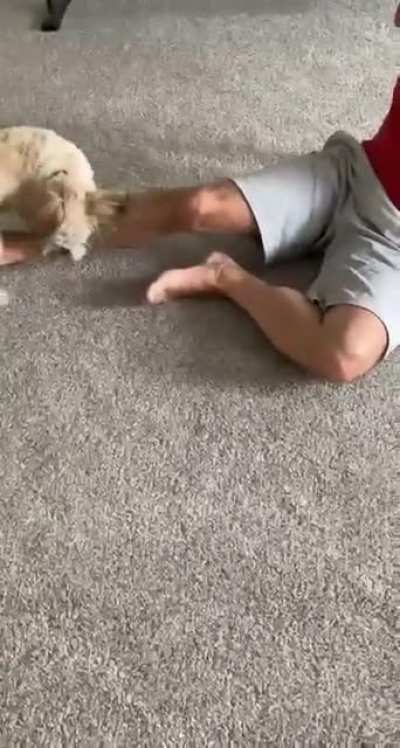 Lost a foot