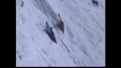 HMB while I kayak down Mt. Everest (maybe)