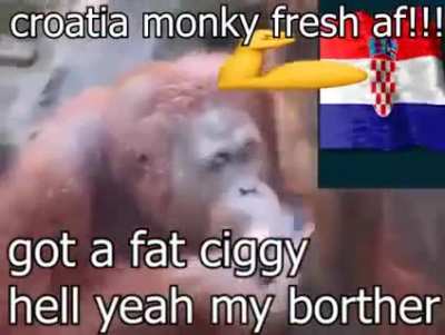 Aqu&iacute; con mi pana Samiro, Ram&oacute;n y Jaimito🐒😎