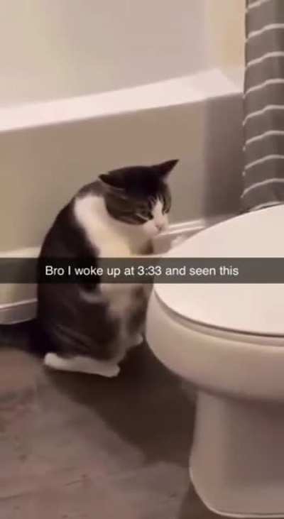 He woke me up!